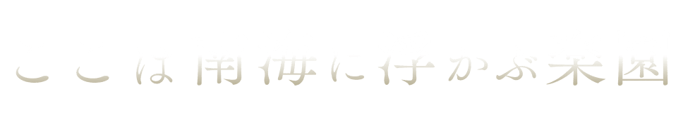 ここは南海に浮かぶ楽園